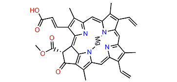 Chlorophyll c1